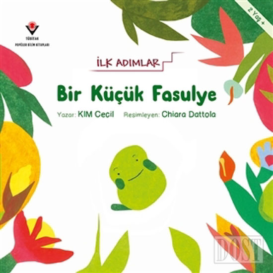 Bir Küçük Fasulye - İlk Adımlar